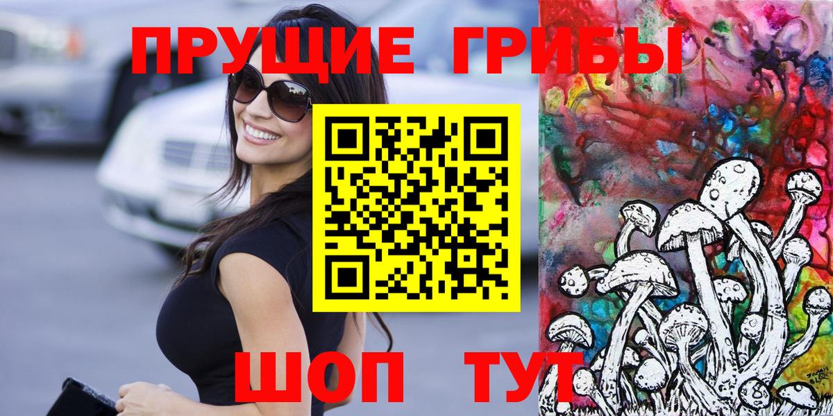 Кудрово  Псилоцибиновые грибы мухоморы  Вход с VPN 